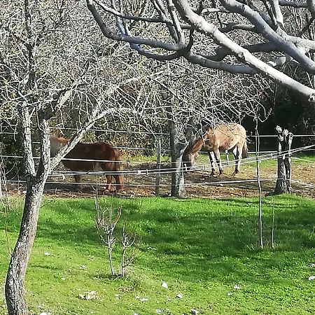 Gard Calme Et Nature * Russan